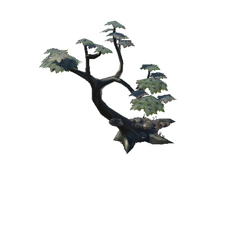 tree_03_1_2