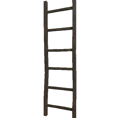 Ladder