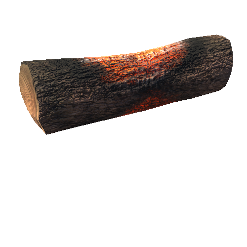 BurnedLog2_1