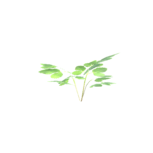 Plants_05