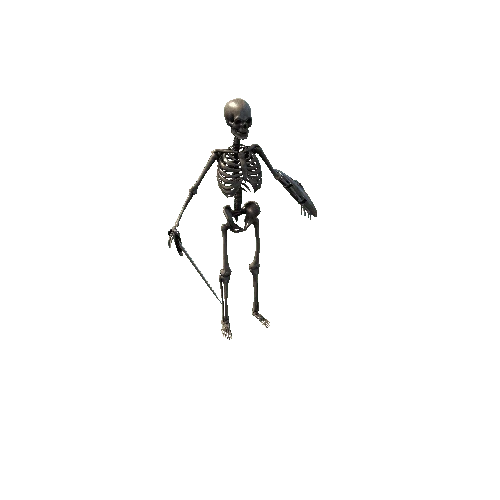 SkeletonWarriroHumanoid