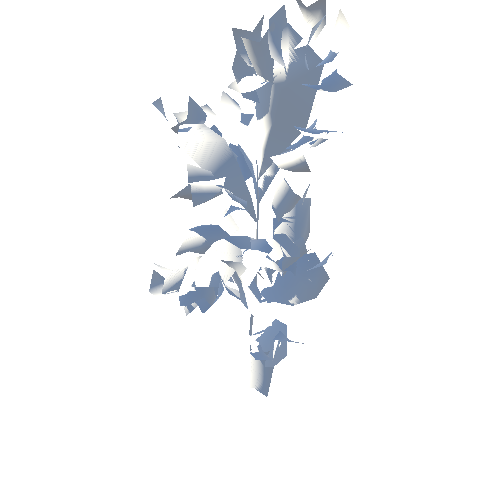 Birch_Paper_Sapling_Small_Fall