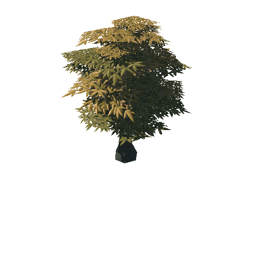 ZMOBA_Tree_A_4