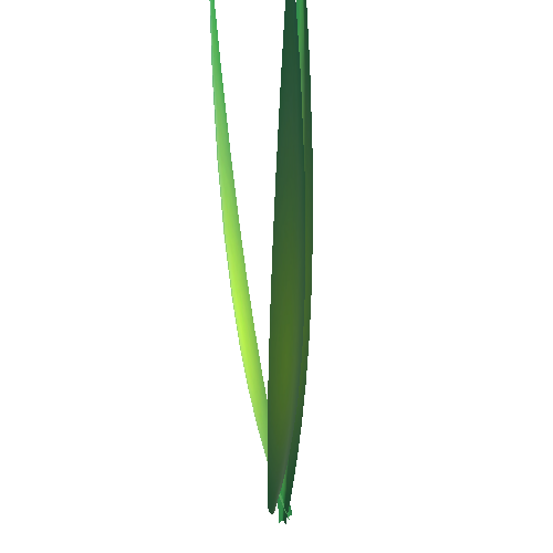 tall-grass