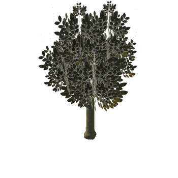 Tree_3