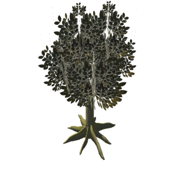 Tree_3_Roots_1