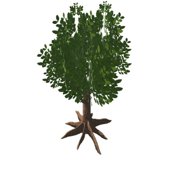 Tree_4_Roots