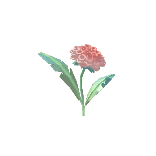 Dahlia_Type01_Salmon