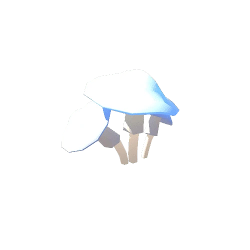 Mushroom_C