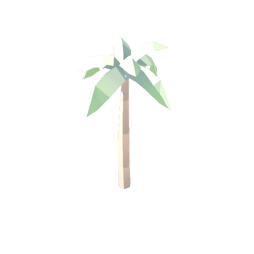 Palm_Tree_C