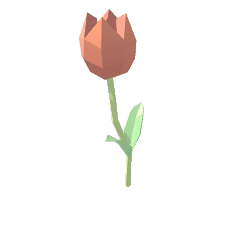 Tulip_Orange