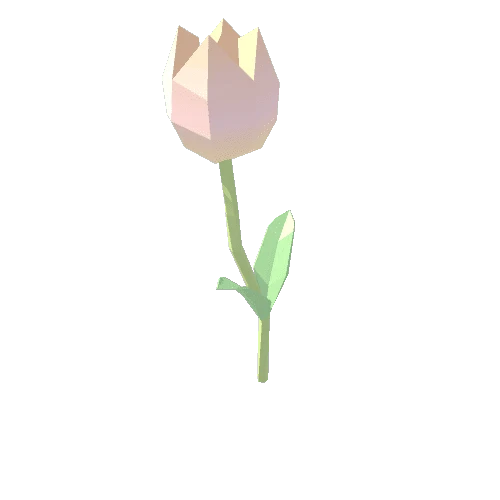 Tulip_Pink