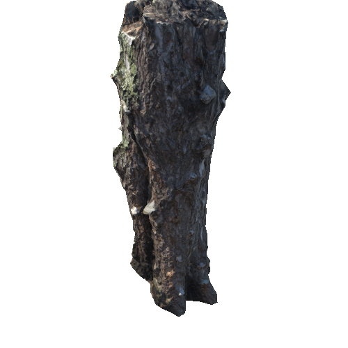 Broken_tree_10