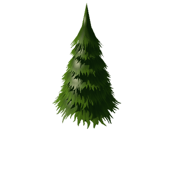 Fir_v1