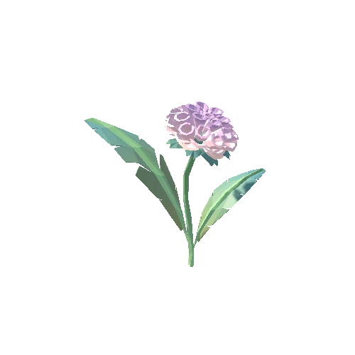 Dahlia_Type02_Lilac