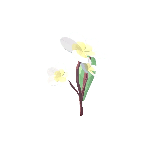 UnknownFlowerName01_White