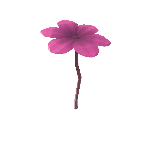 UnknownFlowerName04_Pink