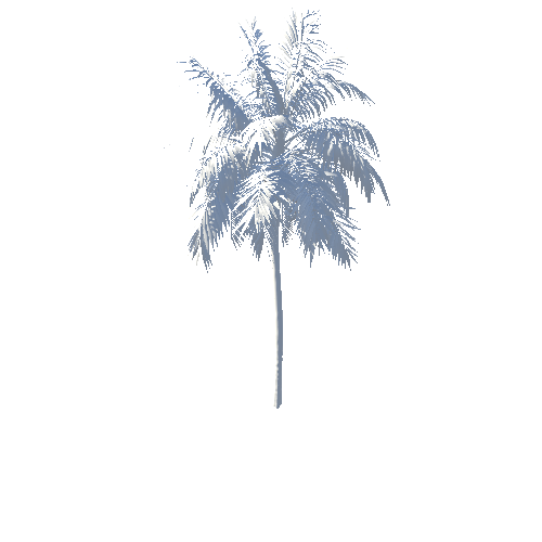 Palm_Coconut_Hero_2_Spring