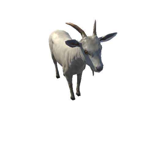 Goat_male_LowPoly