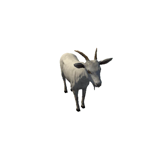 Goat_male_LowPoly