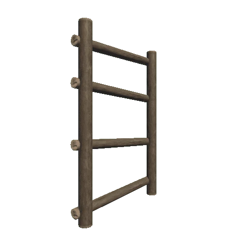 ladder_1