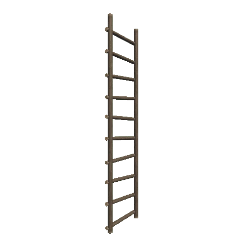 ladder_3