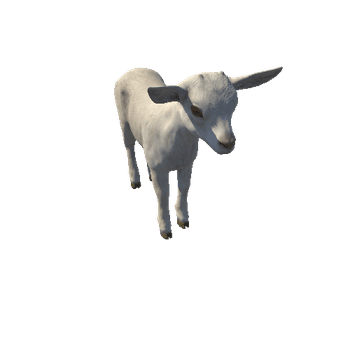 Goatling_HighPoly