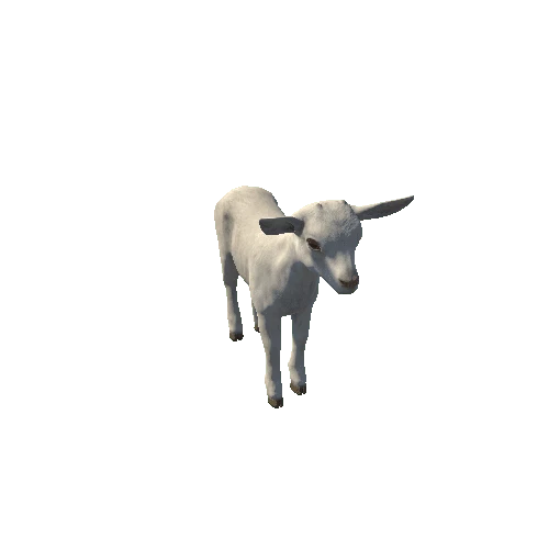 Goatling_HighPoly