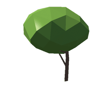 Tree_02