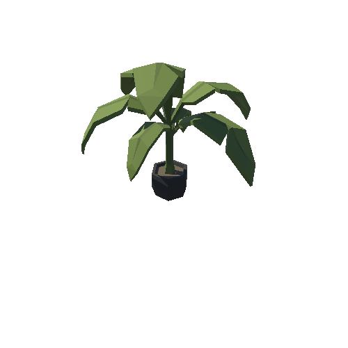 SM_Prop_Plant_06