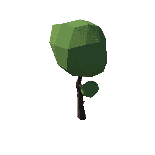 Tree_06