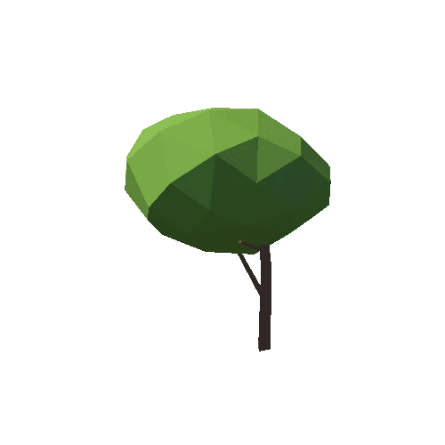 Tree_02