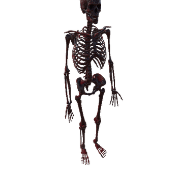 Burnt_Bloody_Skeleton_Static