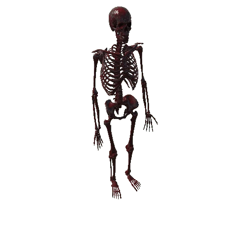 Burnt_Bloody_Skeleton_Static