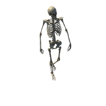 Skeleton_Pose