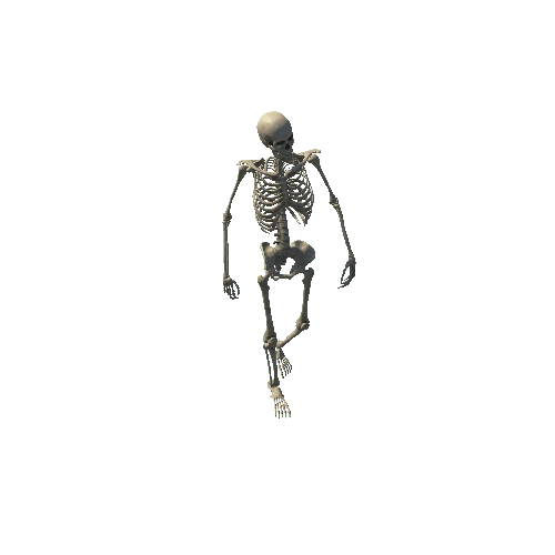 Skeleton_Pose