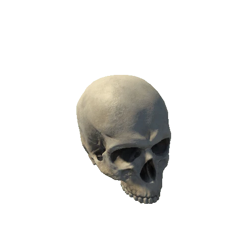Skull_Top