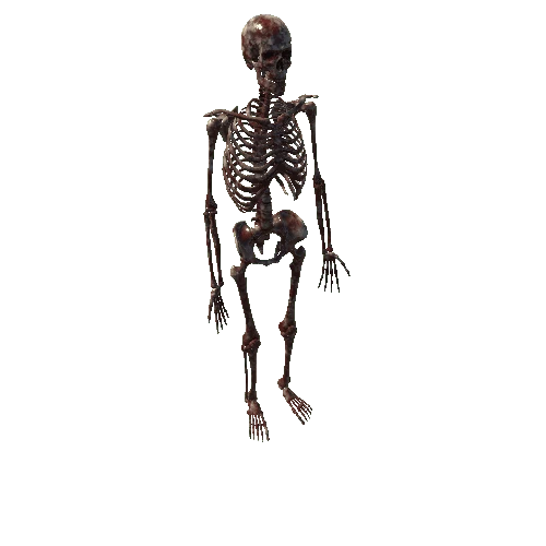 Standard_Bloody_Skeleton_Static