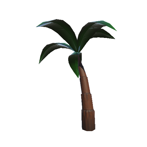 palm2_1