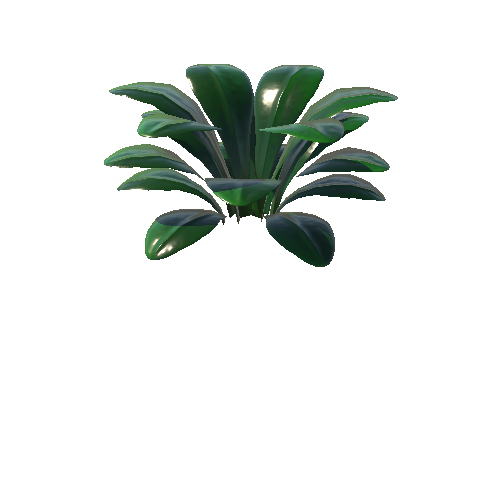 plant3_1_2