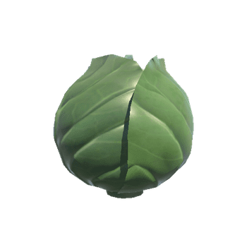 Cabbage_1