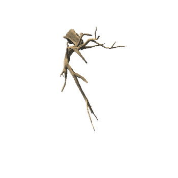 SM_Dead_Tree_09