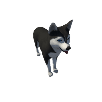 Husky_Demo