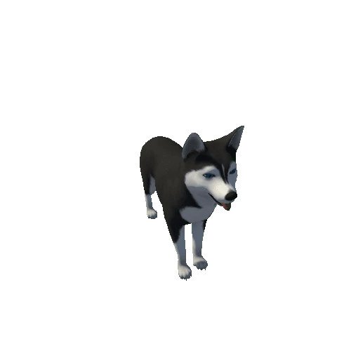 Husky_Demo