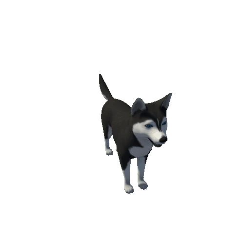 Husky_clear