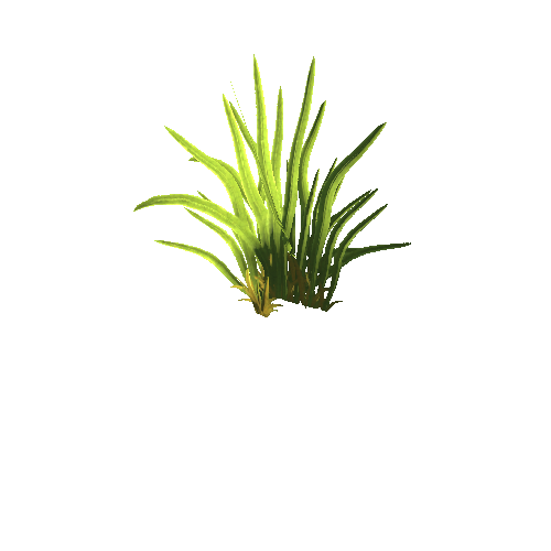 SM_Grass_01