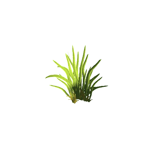 SM_Grass_01