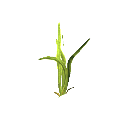 SM_Grass_02