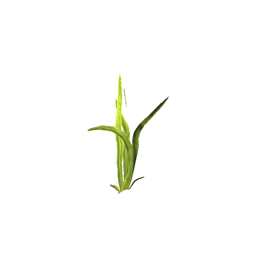 SM_Grass_02