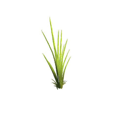 SM_Grass_04